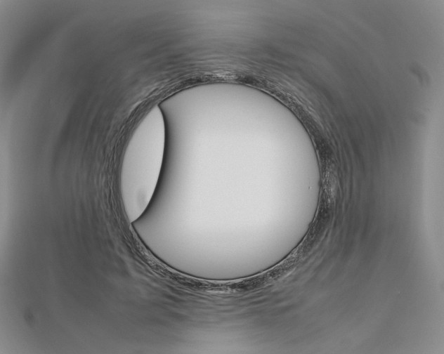 X0000112810595200908210940