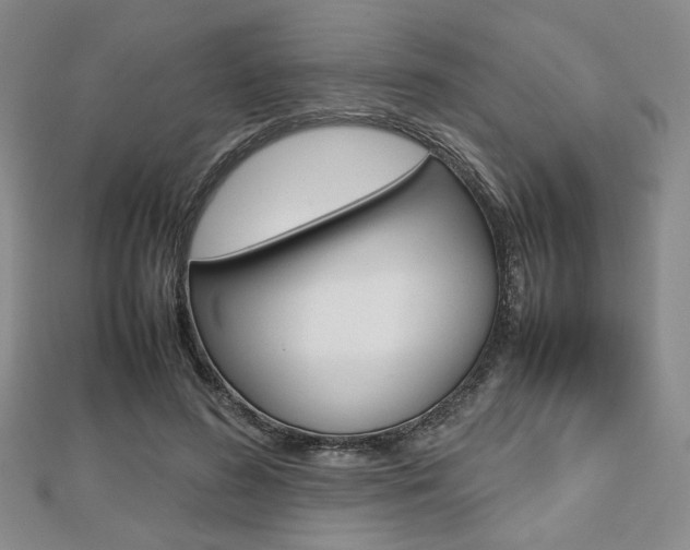X0000112810596200908210940