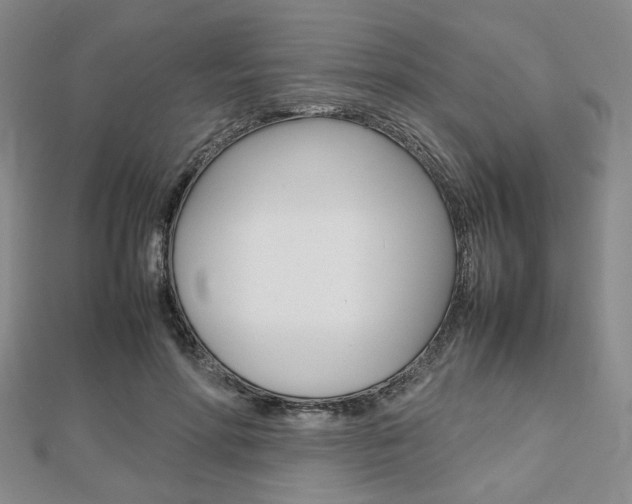 X0000112810598200908210940