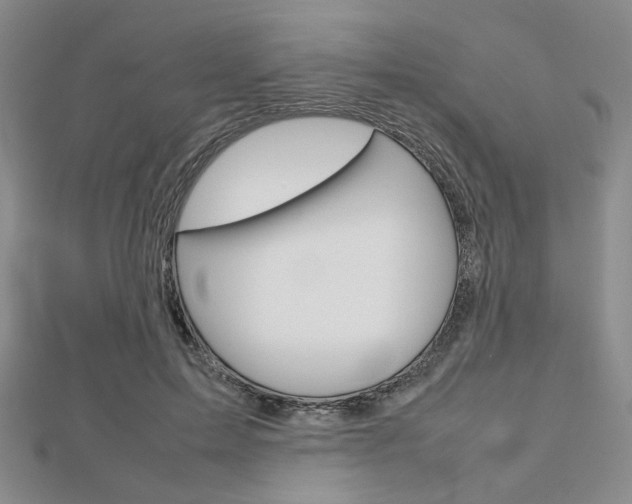 X0000112810599200908210940