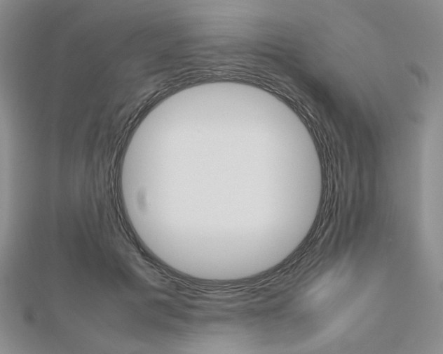 X0000112810601200908210940