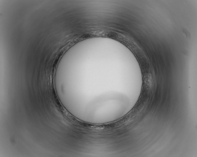 X0000112810602200908210940