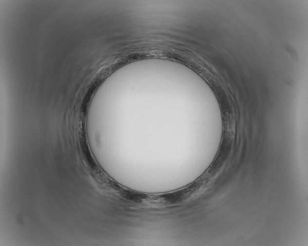 X0000112810603200908210940