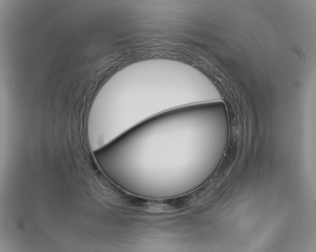 X0000112810605200908210940