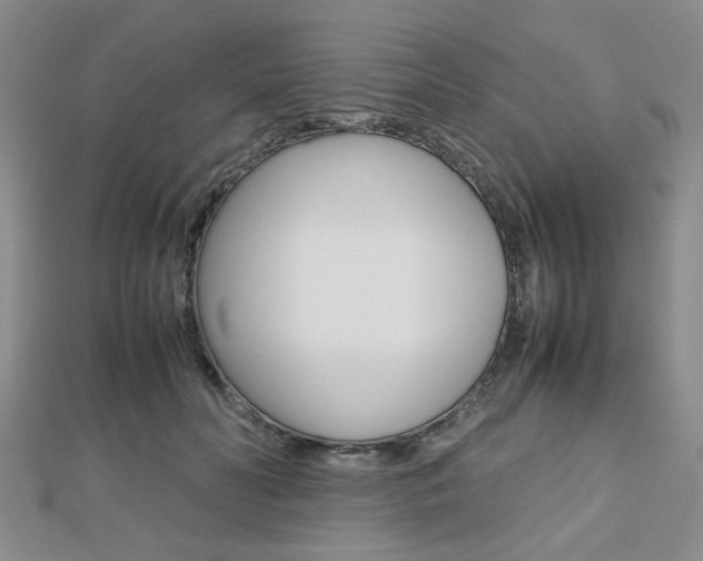 X0000112810606200908210940