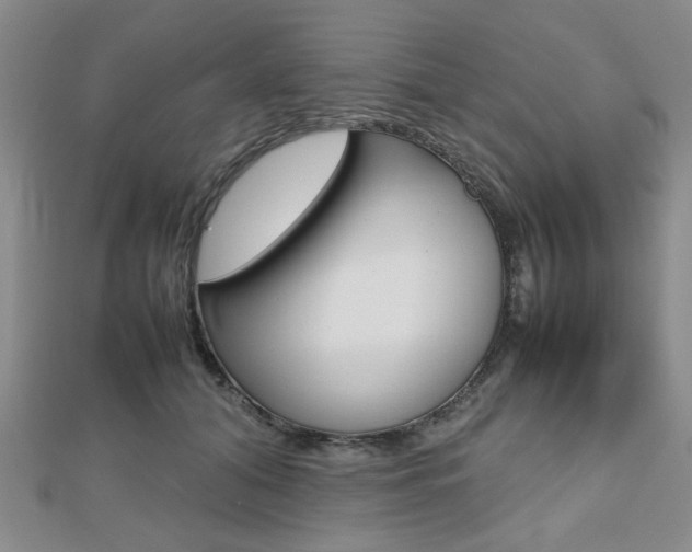 X0000112810608200908210940