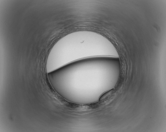 X0000112810609200908210940