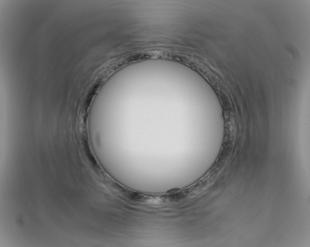 X0000112810611200908210940