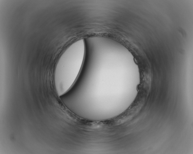 X0000112810612200908210940
