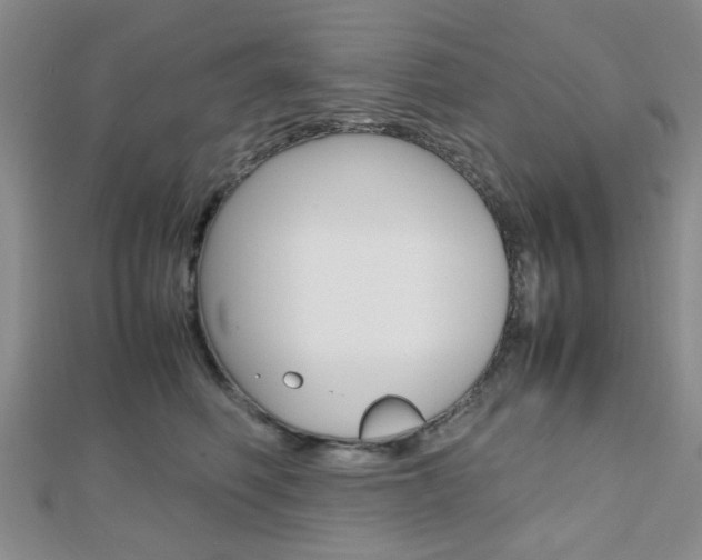X0000112810614200908210940