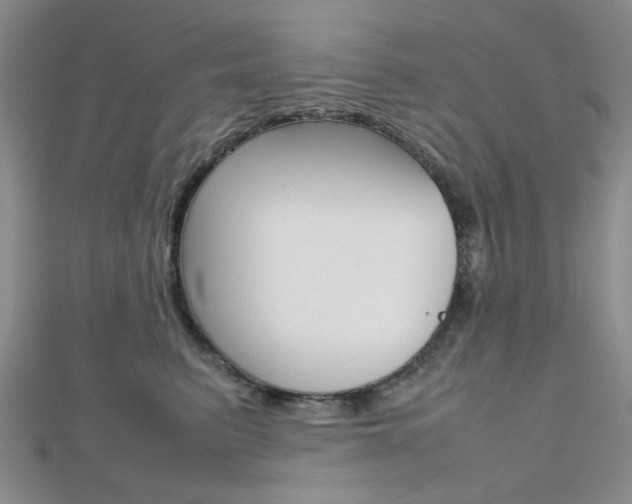 X0000112810615200908210940