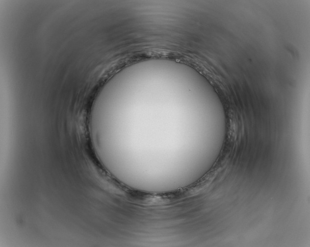 X0000112810616200908210940