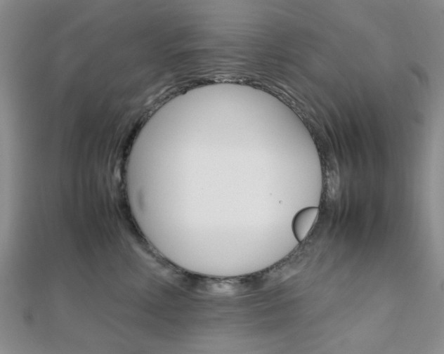 X0000112810618200908210940