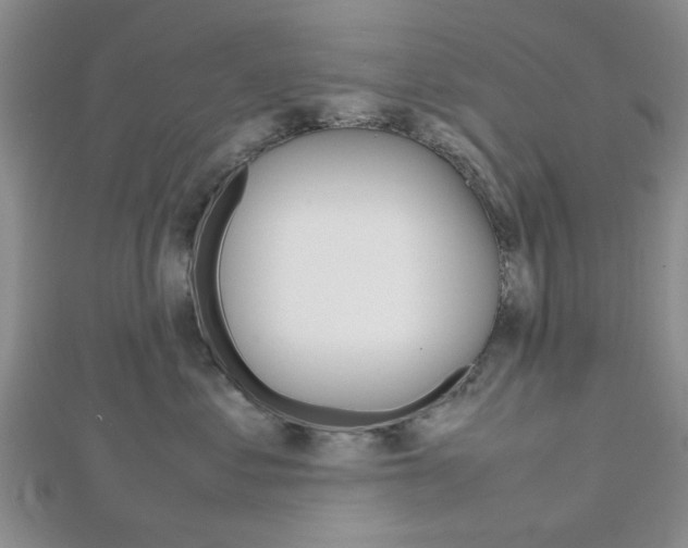 X0000112810621200908210939