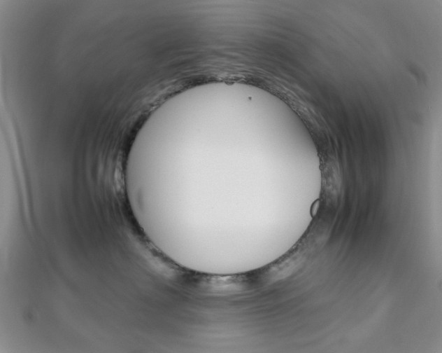 X0000112810622200908210939