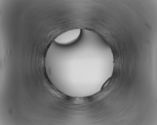 X0000112810623200908210939