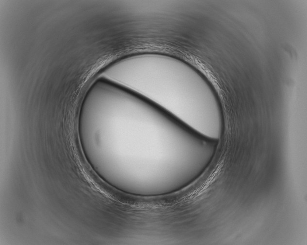 X0000112810625200908210939