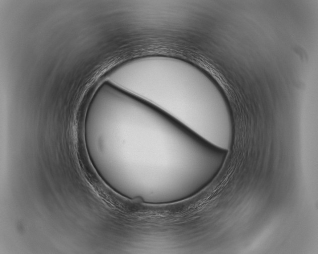 X0000112810626200908210939