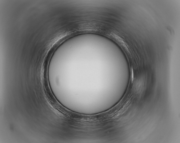 X0000112810627200908210939