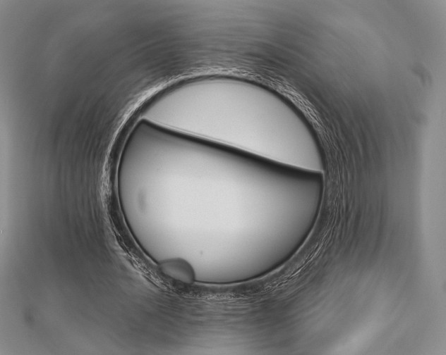 X0000112810628200908210939
