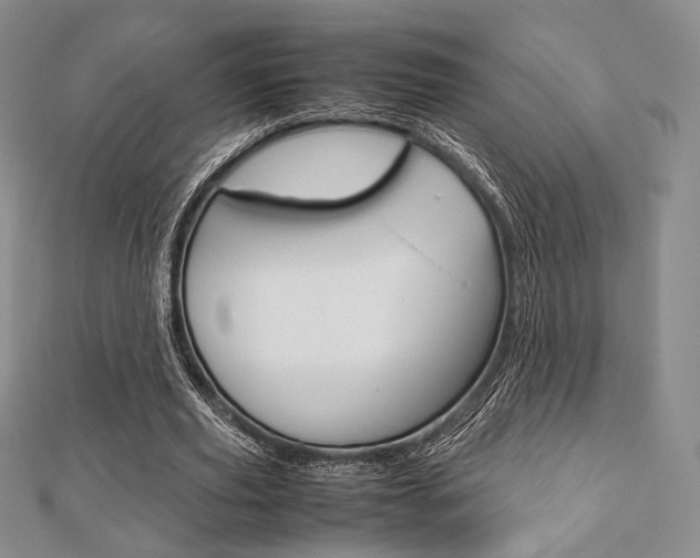 X0000112810629200908210939