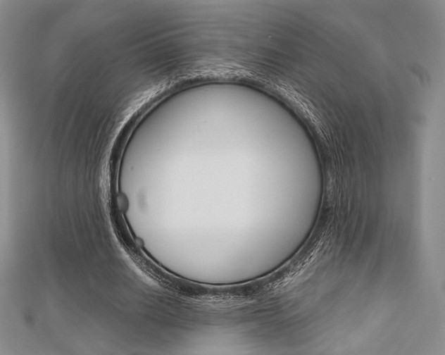 X0000112810630200908210939