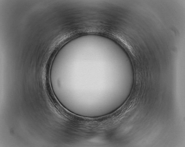 X0000112810631200908210939