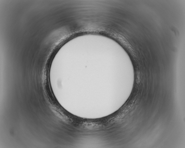 X0000112810632200908210939