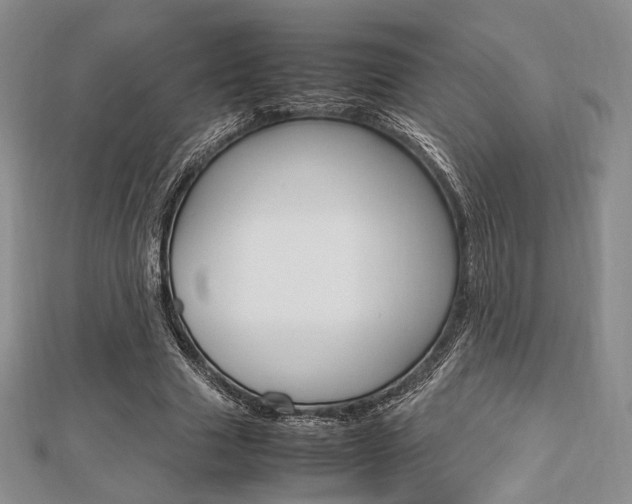 X0000112810633200908210939