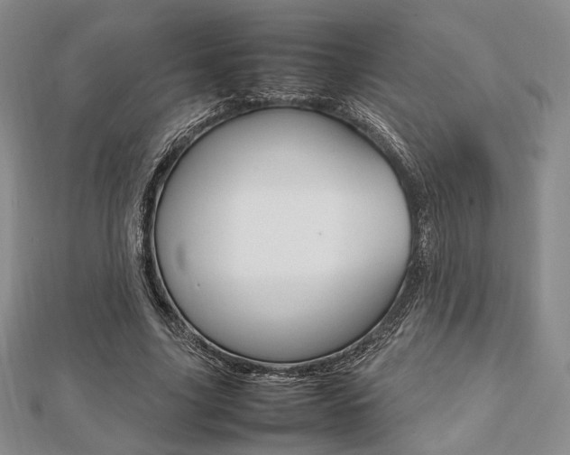 X0000112810635200908210939