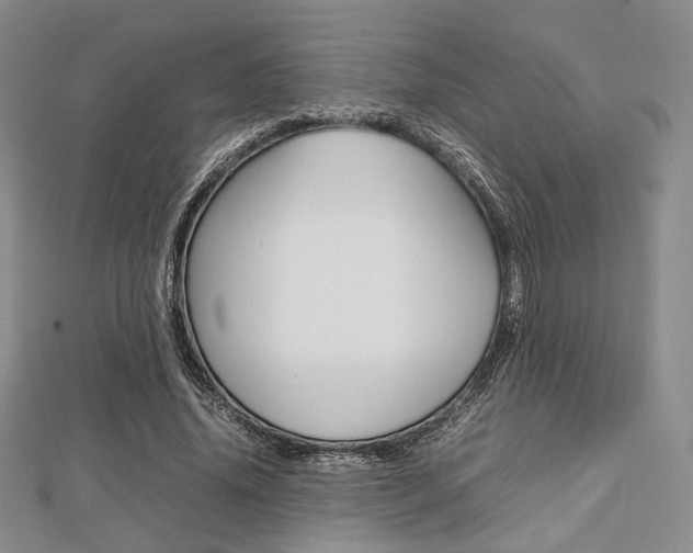 X0000112810636200908210939