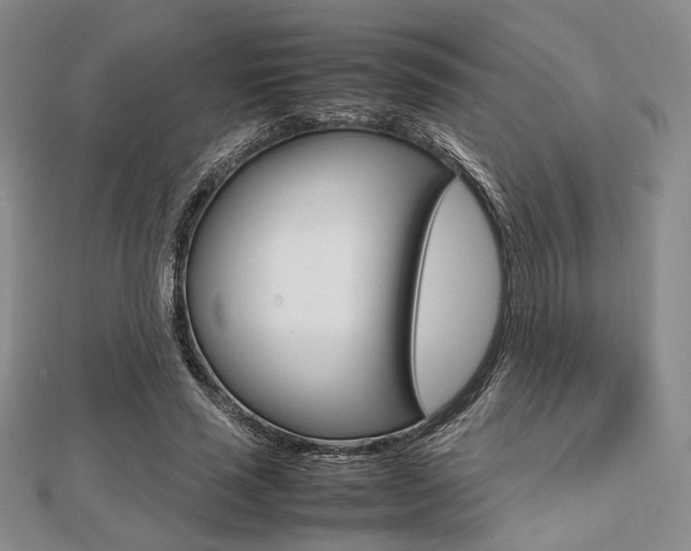 X0000112810637200908210939