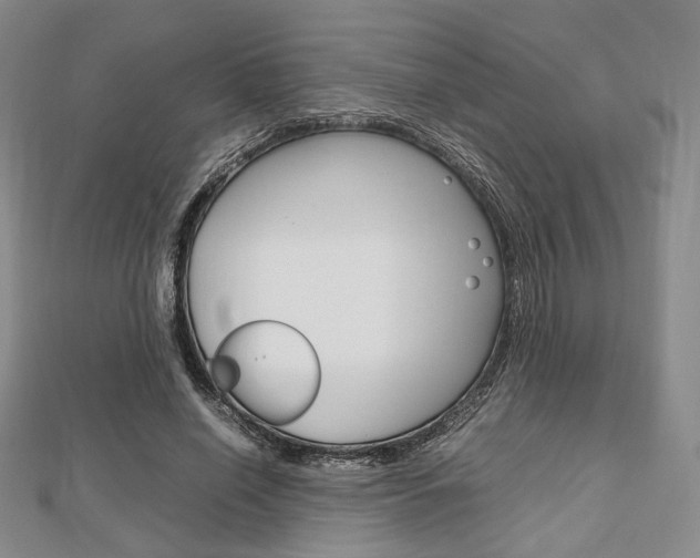 X0000112810638200908210939