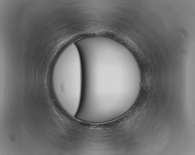 X0000112810640200908210939