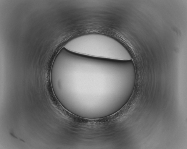 X0000112810641200908210939