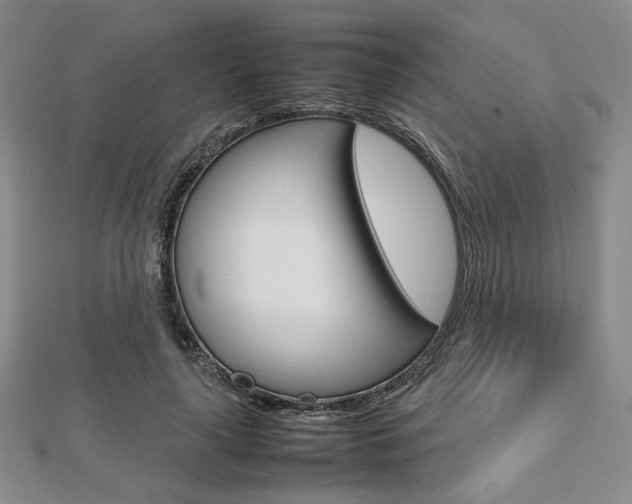 X0000112810643200908210939