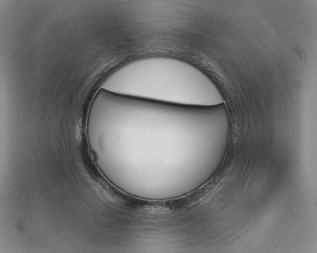 X0000112810644200908210939