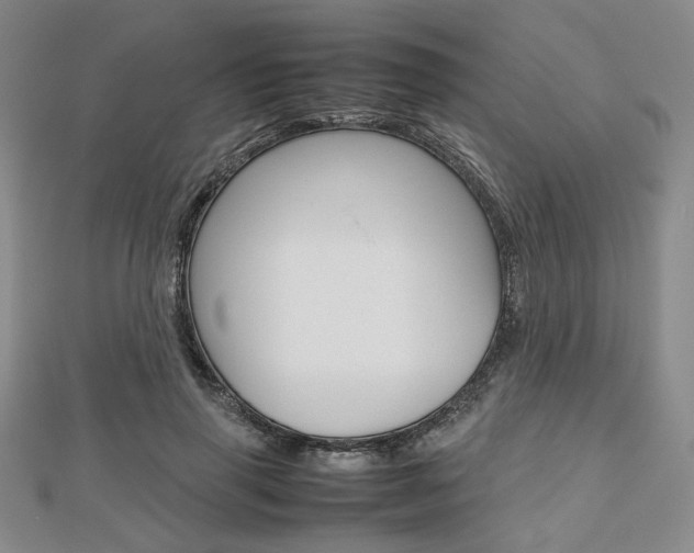X0000112810645200908210939
