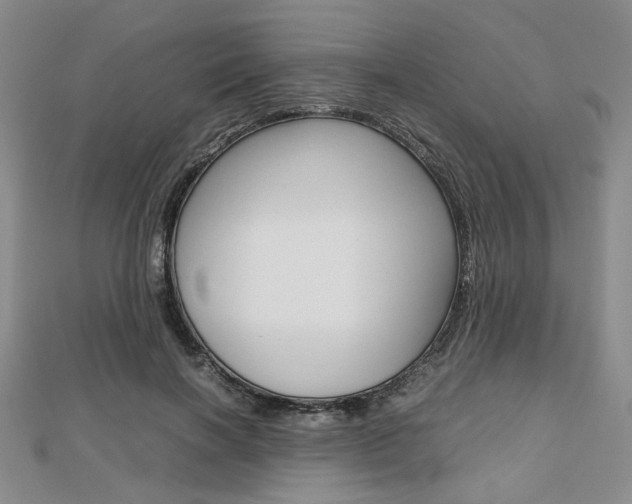 X0000112810646200908210939