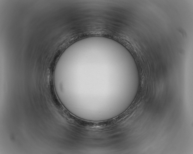 X0000112810647200908210939