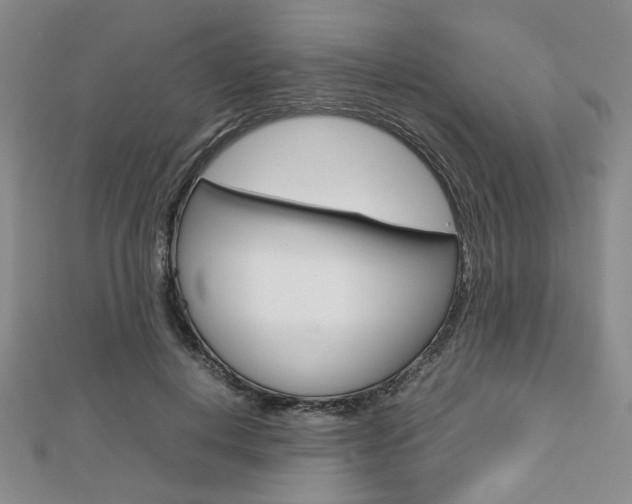 X0000112810648200908210939
