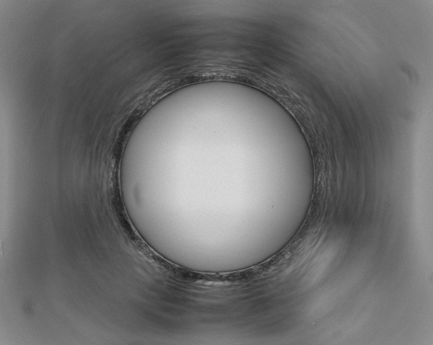 X0000112810649200908210939