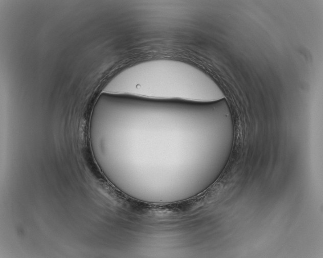 X0000112810650200908210939
