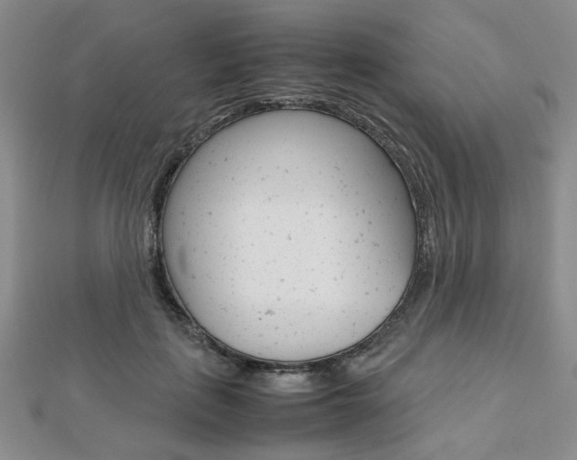X0000112810651200908210939