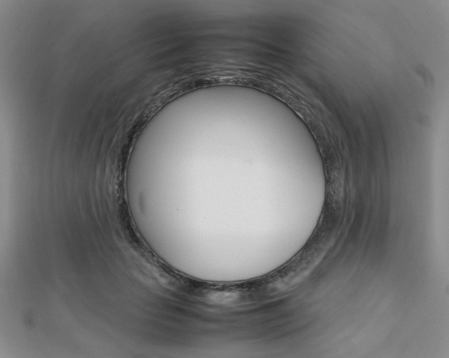 X0000112810653200908210939