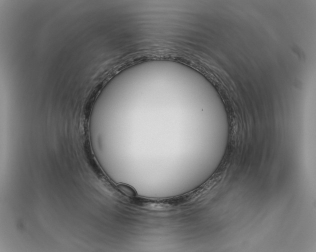 X0000112810654200908210939