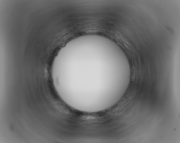 X0000112810655200908210939