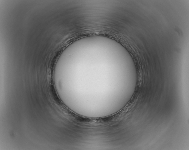X0000112810656200908210939