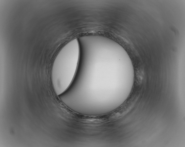 X0000112810657200908210939