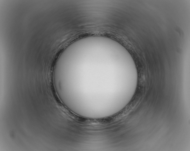 X0000112810658200908210939